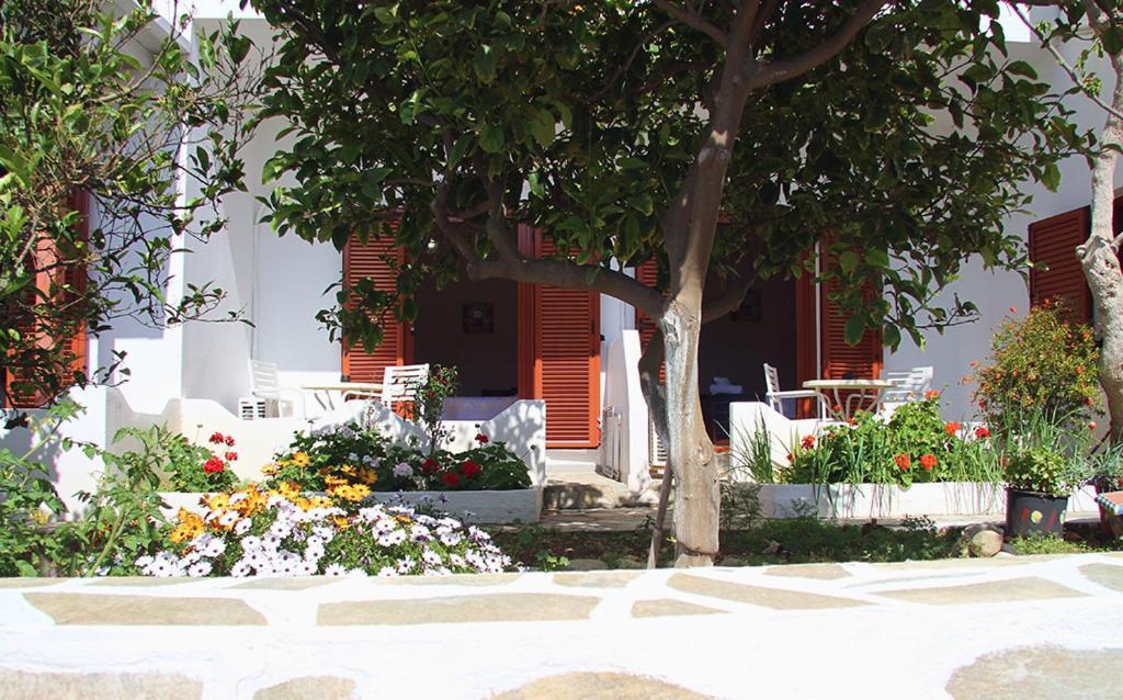 Helios Serifos Livadi  Ngoại thất bức ảnh